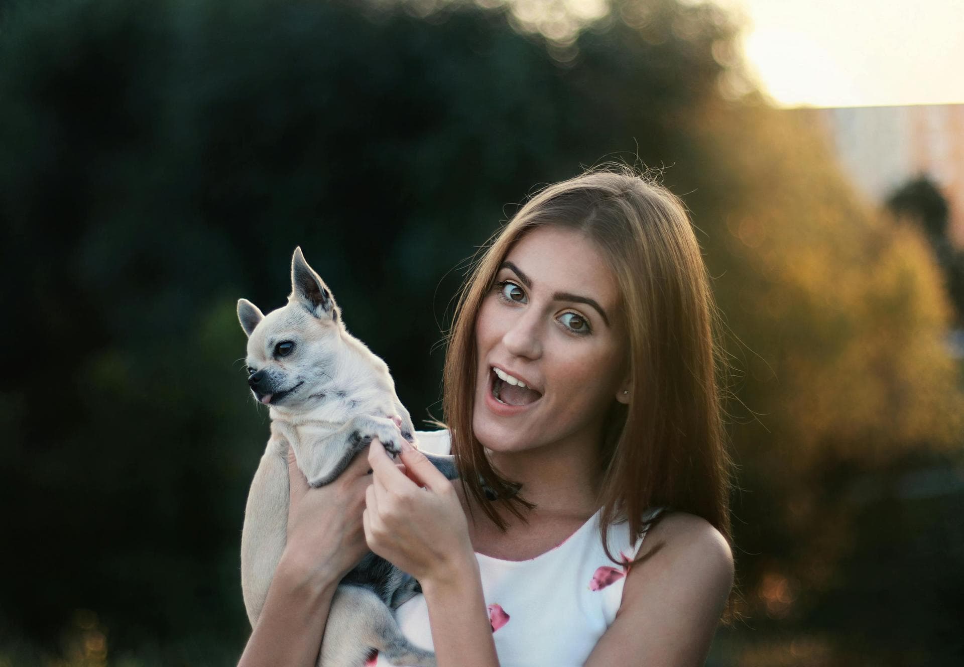 Annual Vaccination With Kennel Cough Prices in Edinburgh